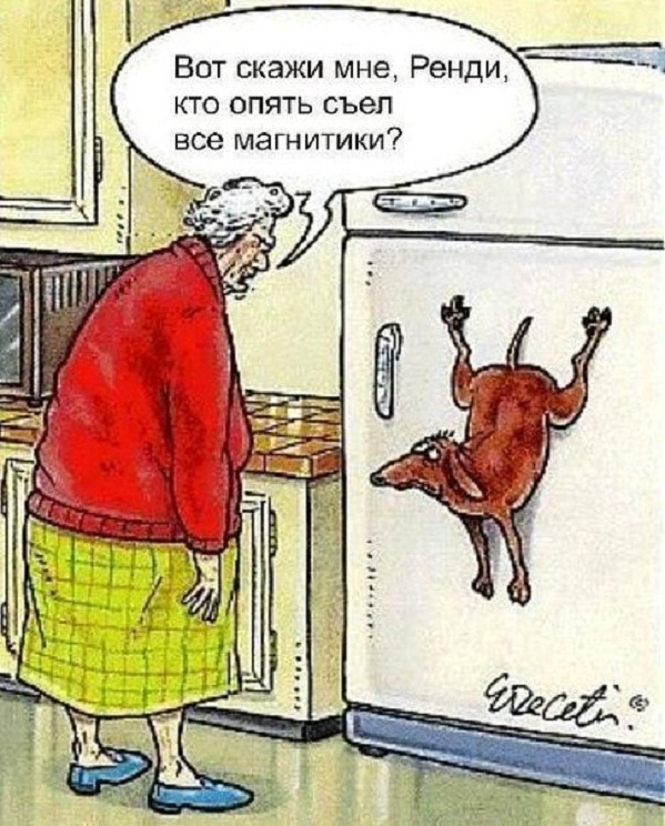Картинки и мемы, всем хороших выходных