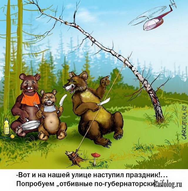 Рандомные анекдоты про медведя