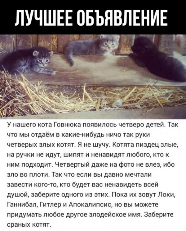 Картинки и мемы, всяко разно - 179