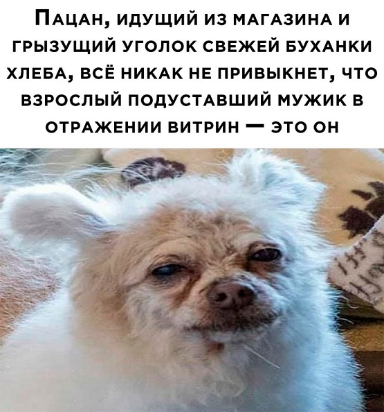 Старость — это иллюзия?