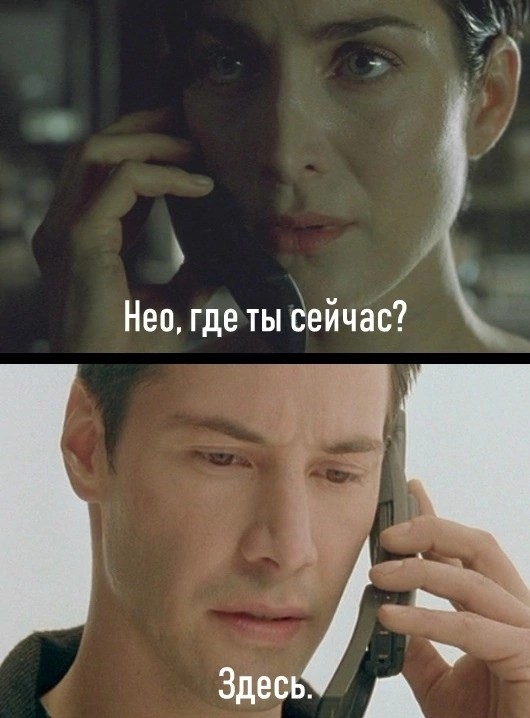 Котики, панки и дестрой
