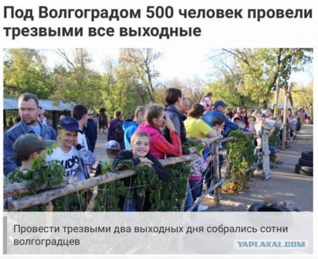 Для тех, кто так же ненавидит будни, как и я
