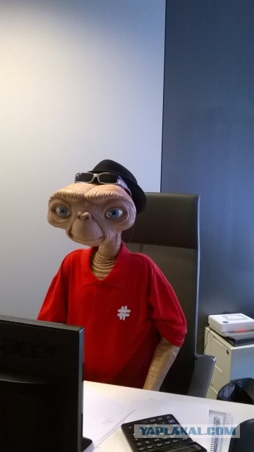 ЯП | Москва | 20 лет!