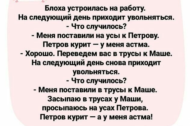 Блохи в доме. Способы решения?