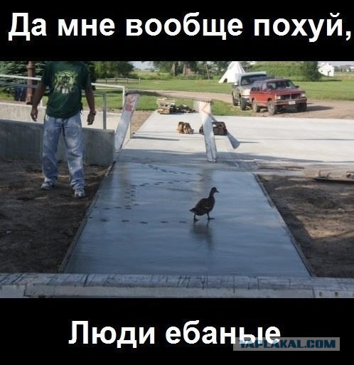 "Сегодня мне подарят тапки..."