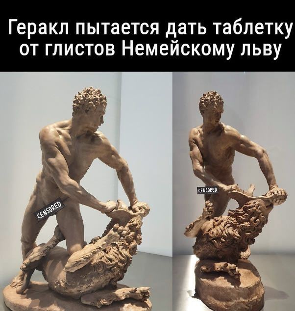 Твари бездушные, показывают как давать котикам таблетки