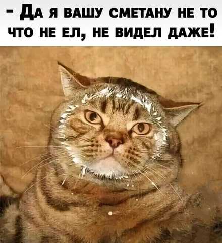 Тема про полёты людей на Луну