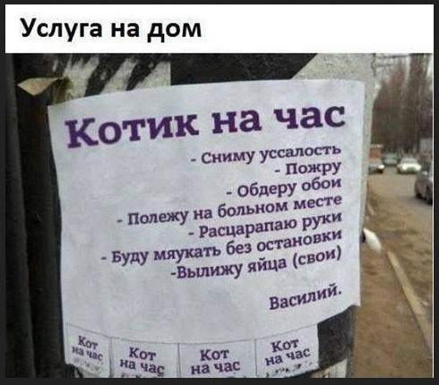 Завалялось тут случайно немного забавных картинок