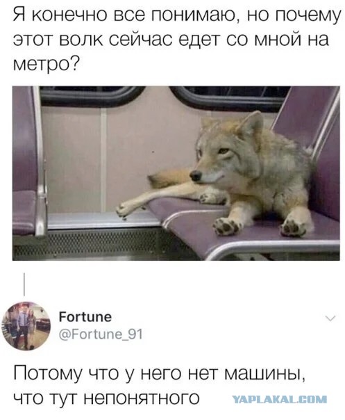 Картинки для деградации 10 (разной степени свежести)