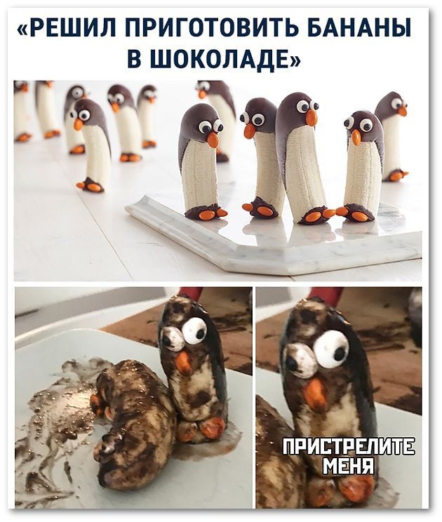 Картинки для деградации 34 (разной степени свежести)