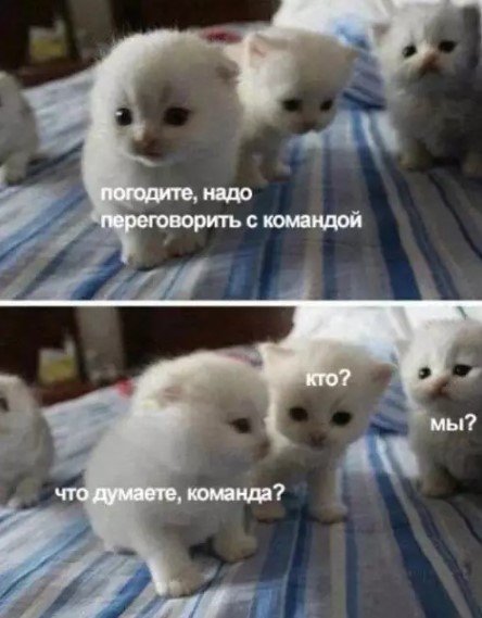 Картиночки, баянчики 26 марта
