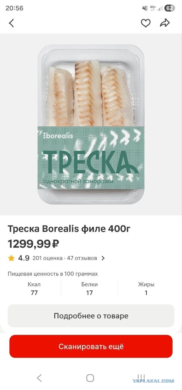 Рыбов этих у нас не меряно...