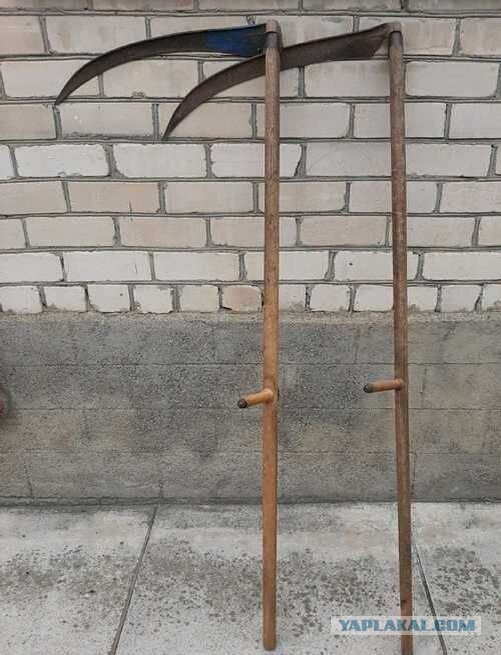 Дача!