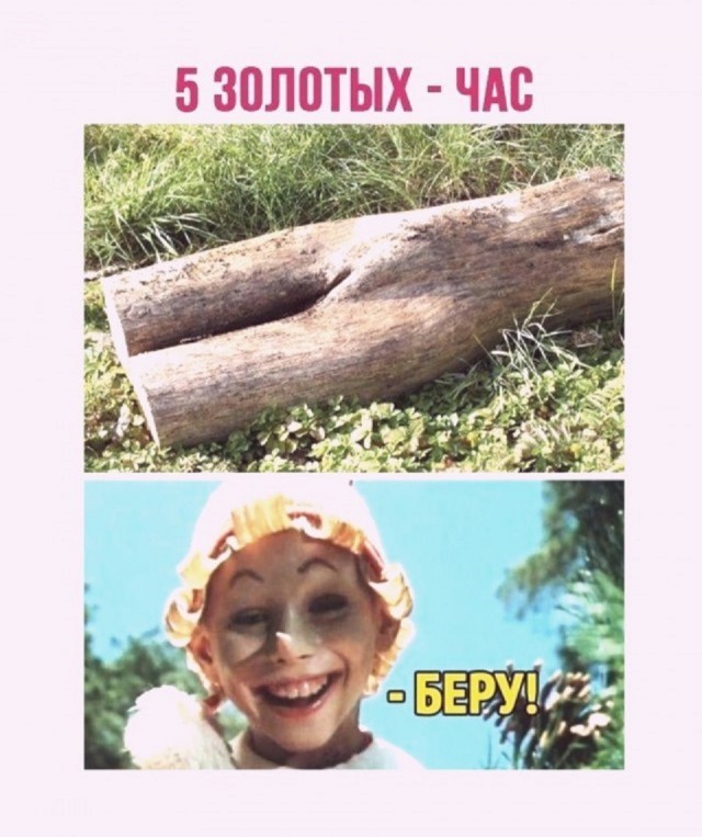 Картинки новые и старые, баяны и аккордеоны