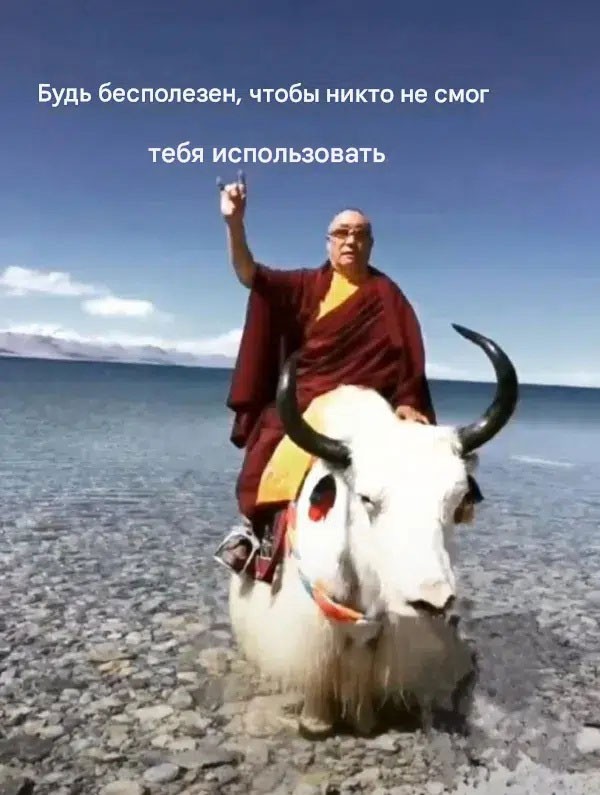 Эбокартинки с эбонадписями