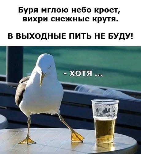 Картинки на среду