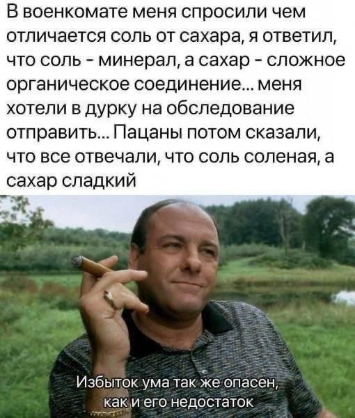 Так себе картинки 25.08.26