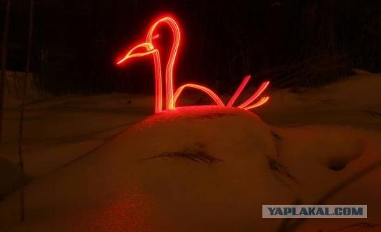 Что такое Freezelight?