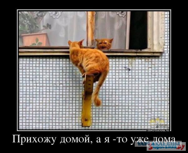 Почему ты меня не пускаешь?