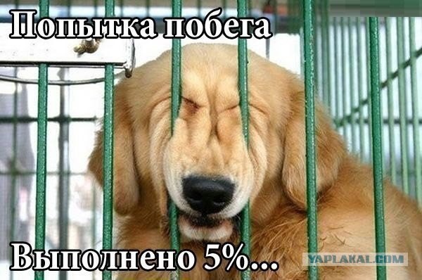 Картинки на Воскресенье, ассорти.