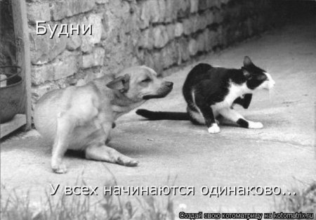 Подборка прикольных фото.
