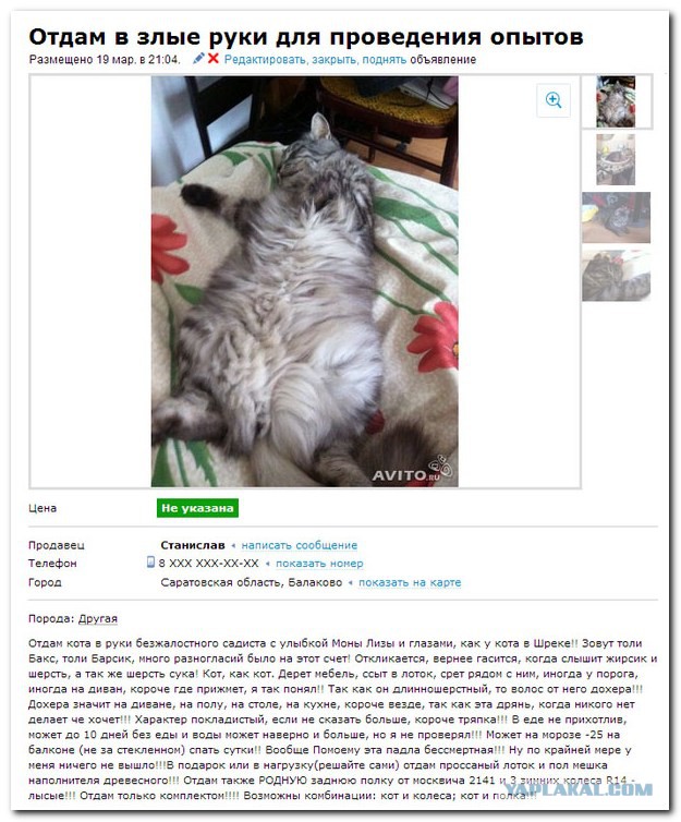 Смешные комментарии из социальных сетей (40 фото)