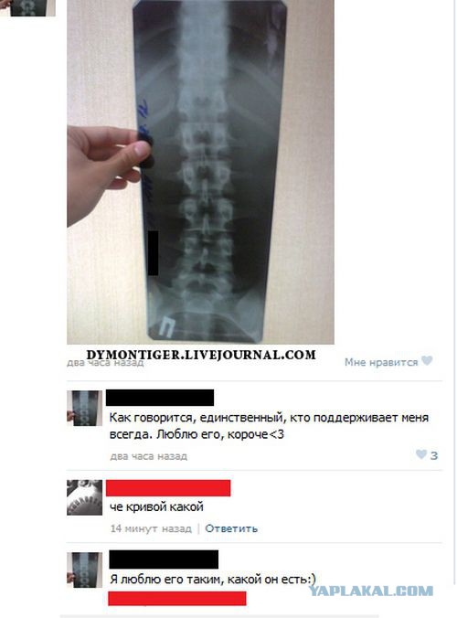 Смешные комментарии из социальных сетей