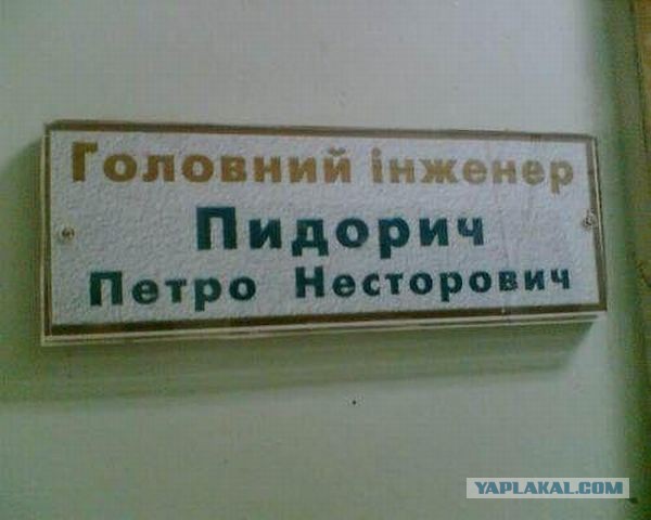 Люди на своём месте