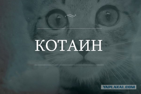 Подборка картинок