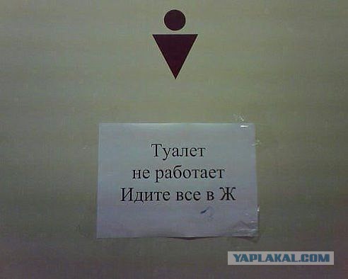 Немного смешных картинок из сети