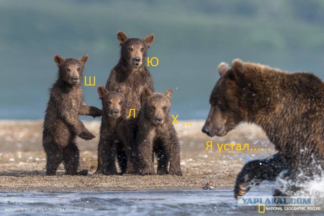 Так кто же отец ребенка?