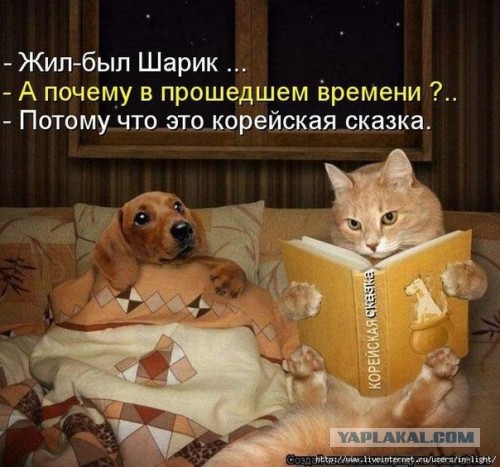 Весёлое из сети