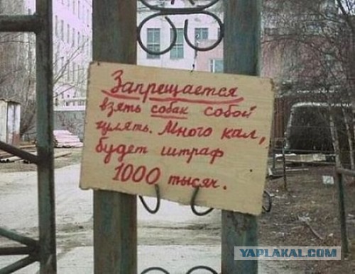 Прикольные надписи
