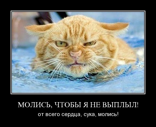 Когда плаваешь и что-то задевает твою ногу