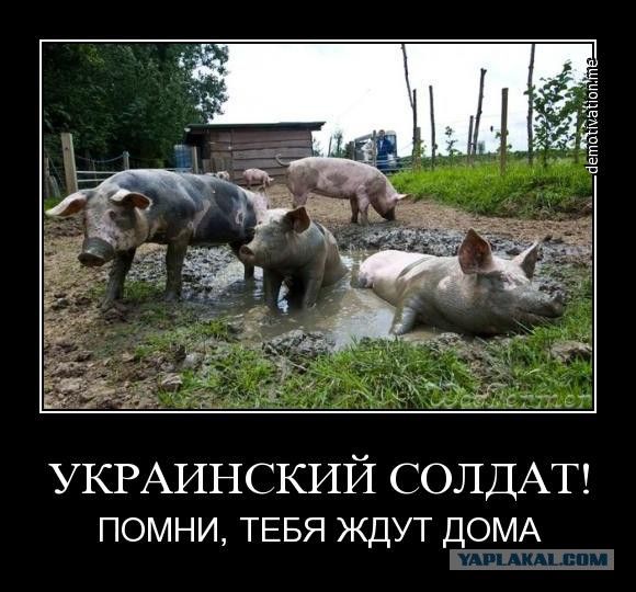 "Доблестные герои АТО" приехали в новую казарму...