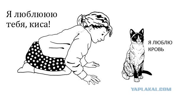 Плюшкиным посвящается