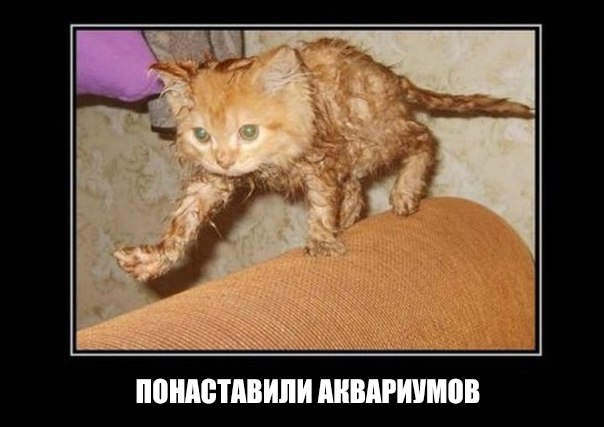 Картинки на пятницу