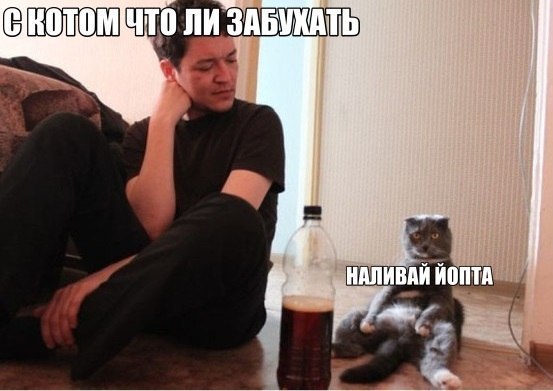 Приколы из сети