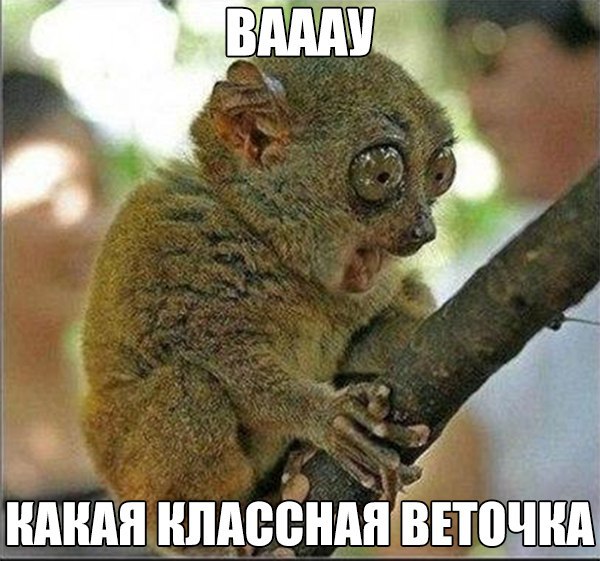 Картинки разные