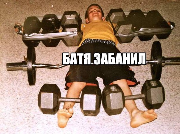 Подборка забавных картинок