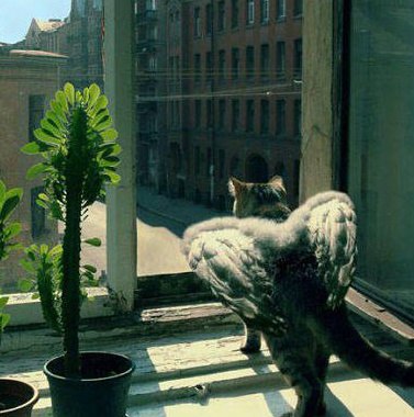 Понедельника картинки