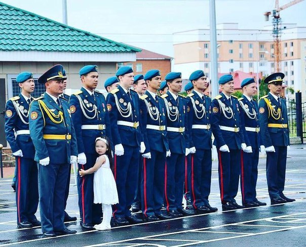 Небольшой микс картинок и гифок .