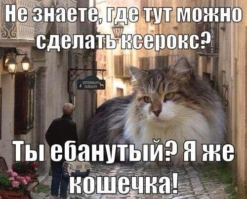 Лёгкой наркомании и тупости пост