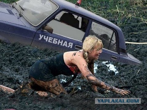 Подборка интересных и веселых картинок