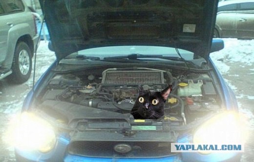 Сюрприз под капотом