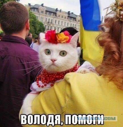 Настоящая Украина