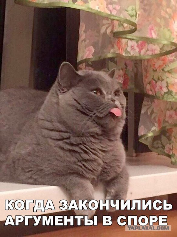 Мне позвонила девушка моего мужа