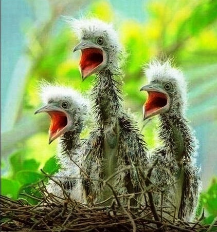 Наркоманских анекдотов с картинками