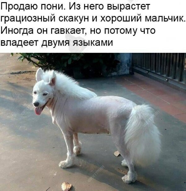 Итоги проверки пользователей