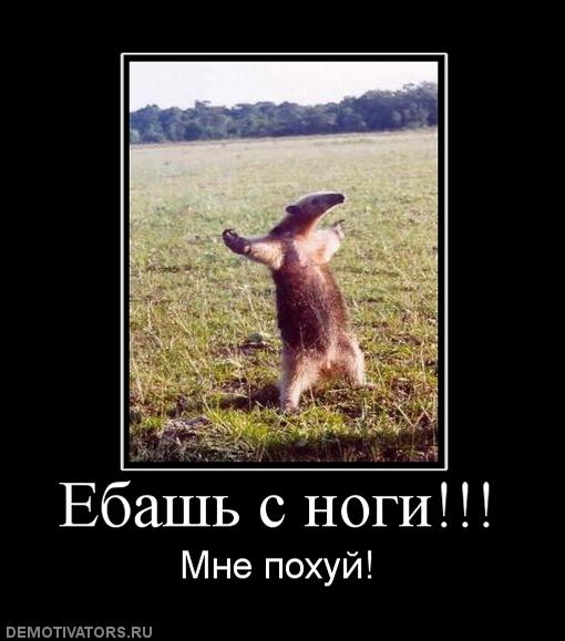 Итоги проверки пользователей